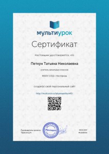 Сертификат Петкун Татьяна Николаевна (2)