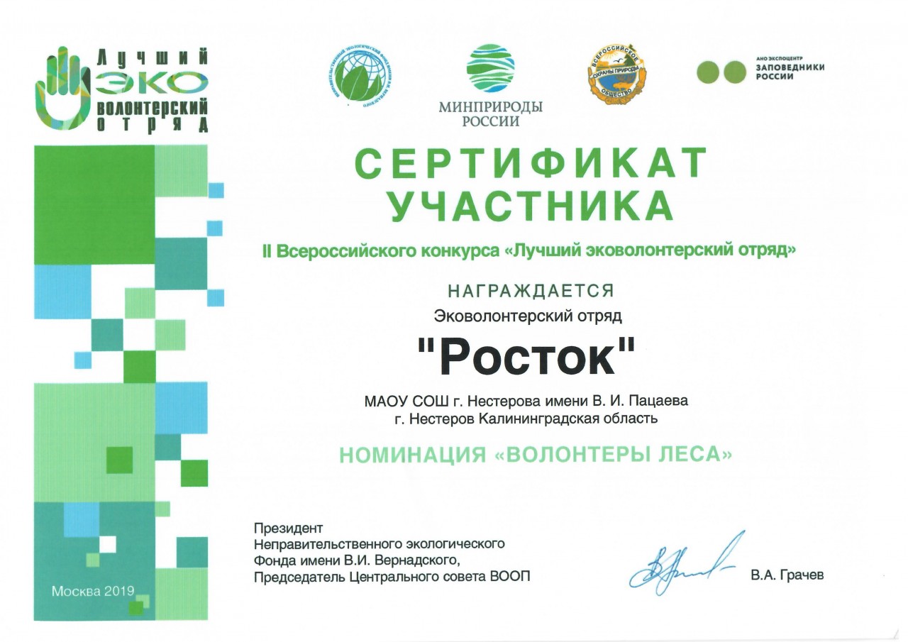 Сертификат Всероссийский конкурс эковолонтёрский отряд 2019