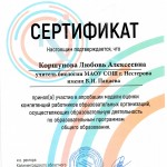 Сертификат участника апробации -2019